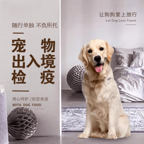 吕梁市宠物托运到哥伦比亚猫狗宠物入境规定和