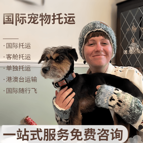 吕梁市国际宠物托运到阿根廷宠物入境规定和要
