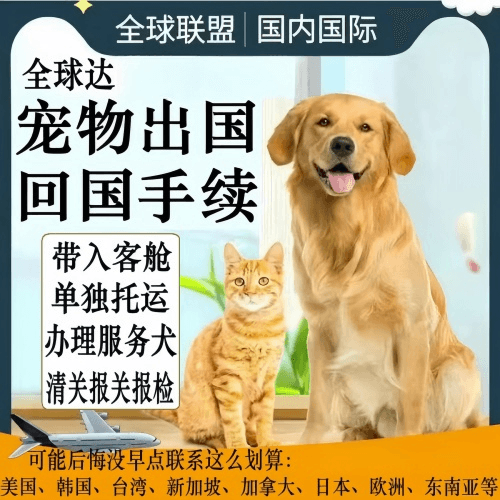 吕梁市宠物托运到柬埔寨宠物入境规定和要求