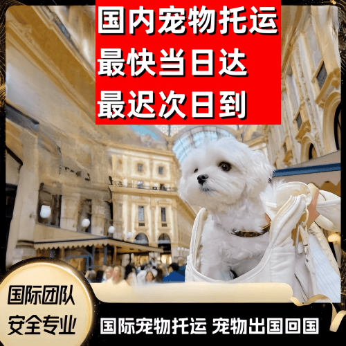 吕梁市到澳大利亚（澳洲）宠物入境规定和要求