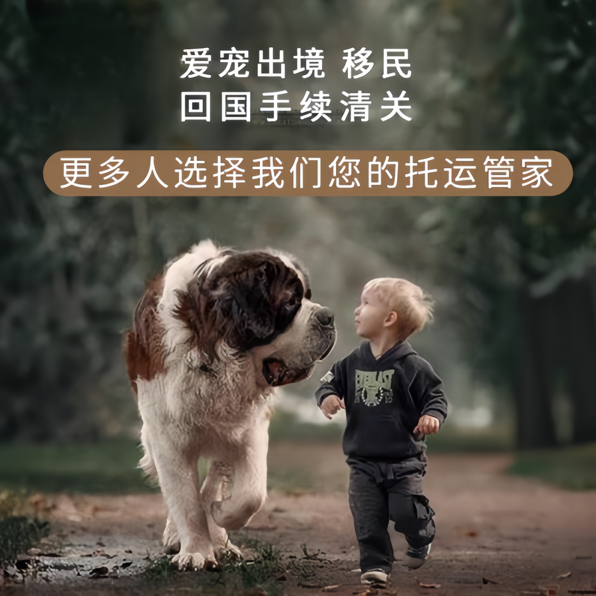 满财吕梁市宠物全球达宠物托运在遵守入境目的地政策的条件