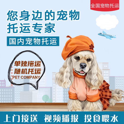 满财吕梁市宠物全球达宠物托运作为专业的宠物运输代理机构